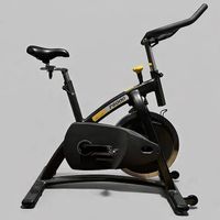 Johnson Class Cycle P8000, 15 Spinning-Bikes sind vorhanden