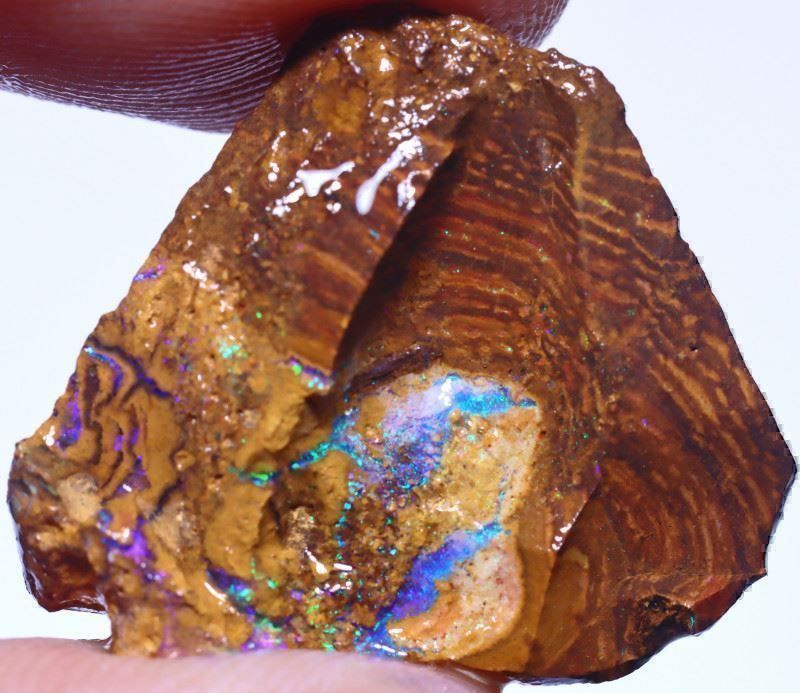 Edelsteine: Koroit Opal Roh 15.69Cts. – Neu (gemäss Beschreibung) aus Bern von Grindelwaldaus 2