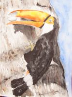Zeichenbuch mit Tier Aquarellen