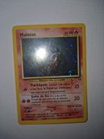 Molosse Neo Discovery