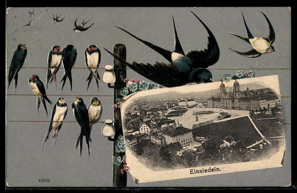 Cartes postales: AK Einsiedeln, Teilansicht mit Kloster, Schwalben – D'occasion à Berlin par bartko-reher