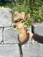 Rehkopf Präparat mit Perückengeweih auf Holzschild