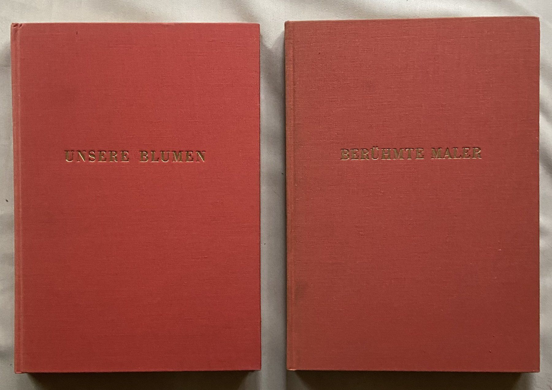 Libri: 2 Alte Avanti Bücher mit Eingeklebten Bildern – Usato da Böckten venduto da Hansi36