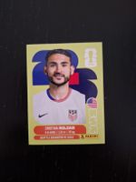 panini 2026 usa 11