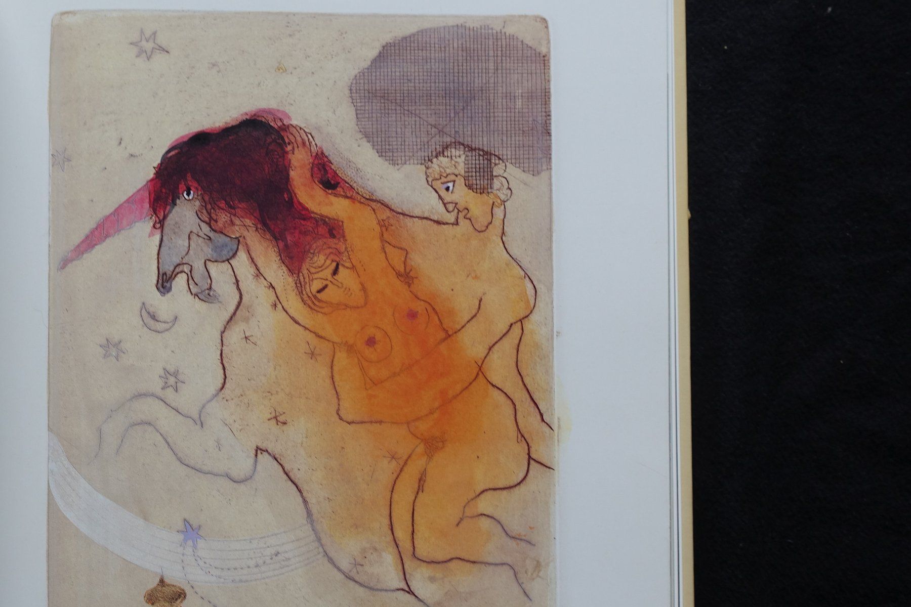Libri: Adi Holzer, 1986, Galerie Carinthia – Usato da Gutenswil venduto da Optico 5
