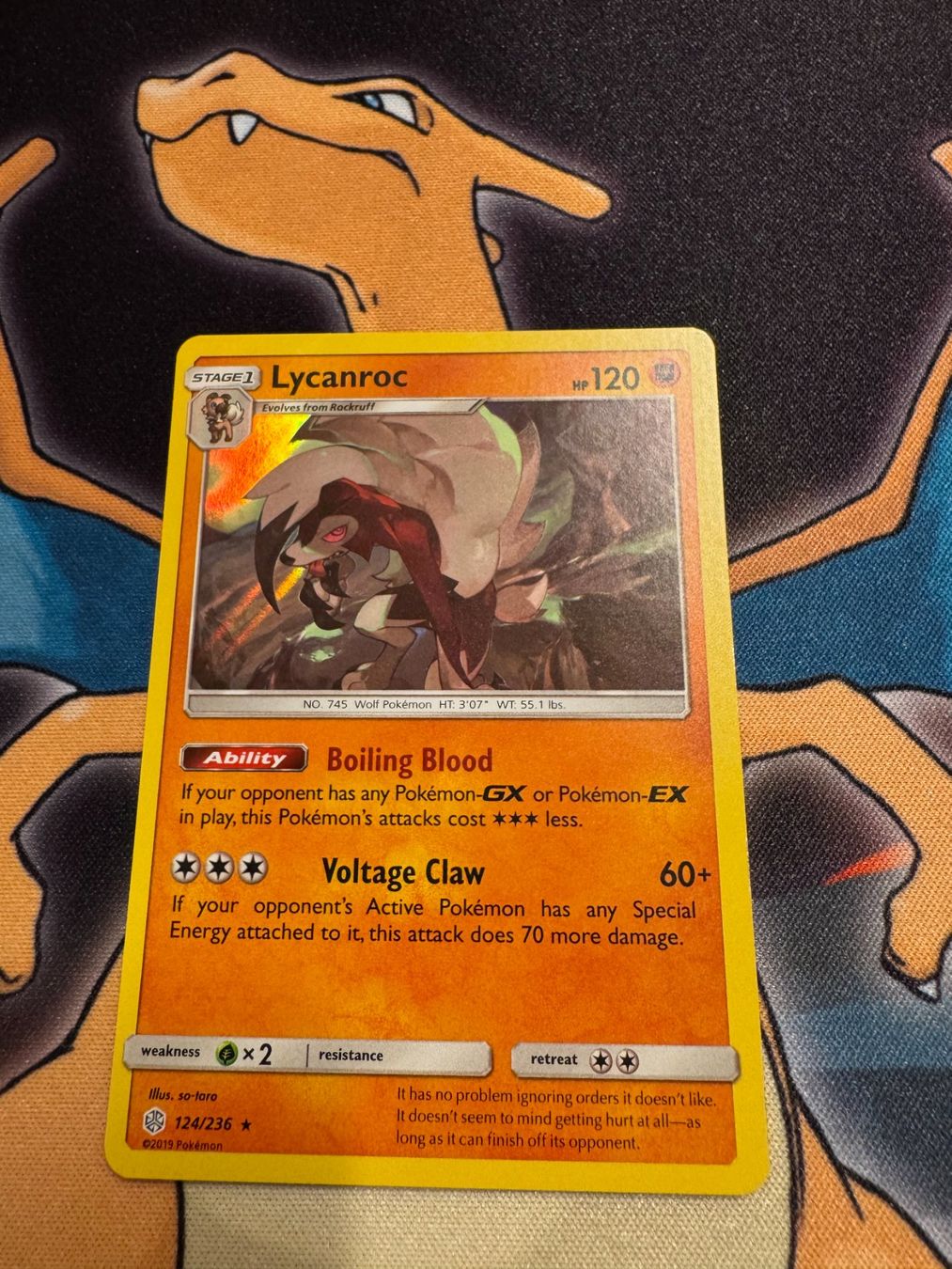 Pokémon Carte collezionabili: Lycanroc (CEC 124) - Holo - Cosmic Eclipse – Nuovo (secondo la descrizione) da Bülach venduto da Pfrenzel