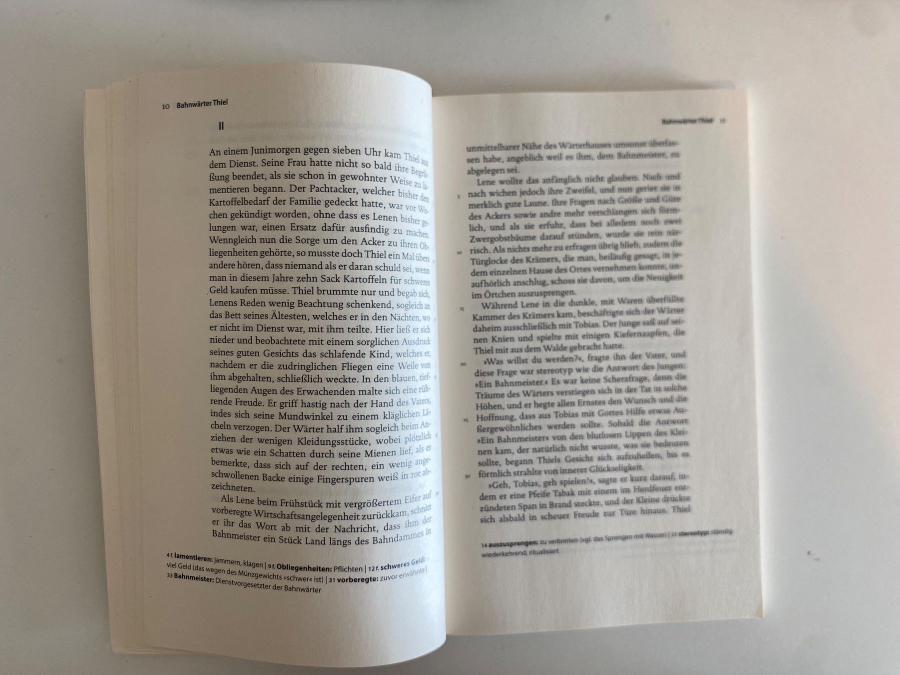Libri: Bahnwärter Thiel von Gerhart Hauptmann – Usato da Aarberg venduto da aliyaderpinguin 1