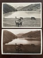 DAVOS Davosersee, belebt, Kühe, Landwirtschaft