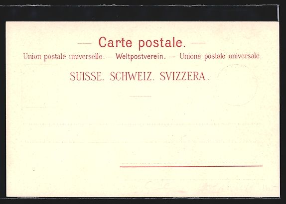 Cartoline postali: Litho Meiringen, Ortsansicht mit Reichen – Usato da Berlin venduto da bartko-reher 1