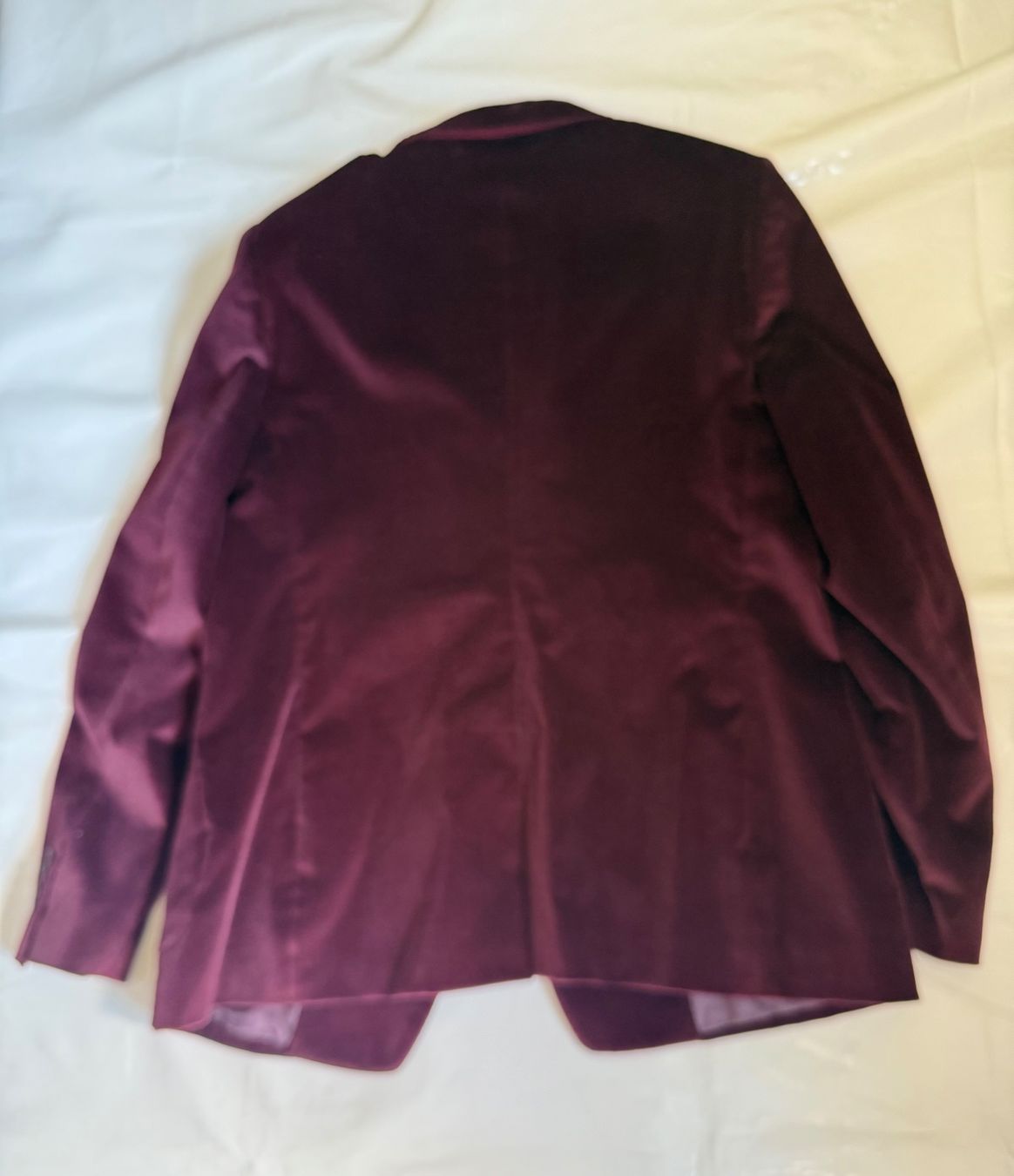 Jacken: Samt Blazer von Tagliatore Gr. 42 – Gebraucht aus Pfäffikon ZH von Margot1 1