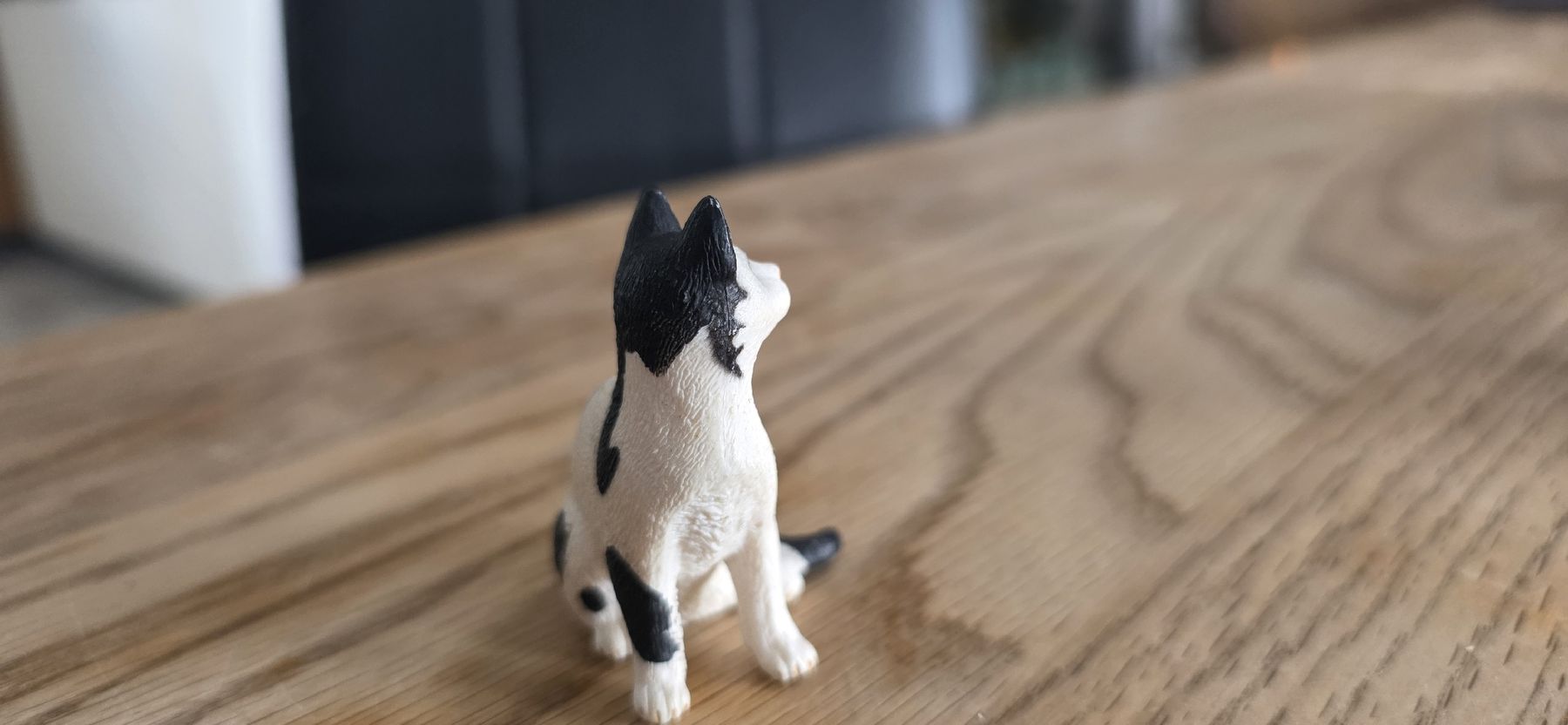 Schleich Jouets: Schleich Katze 13637 collector – D'occasion à Wettingen par dlililou 1