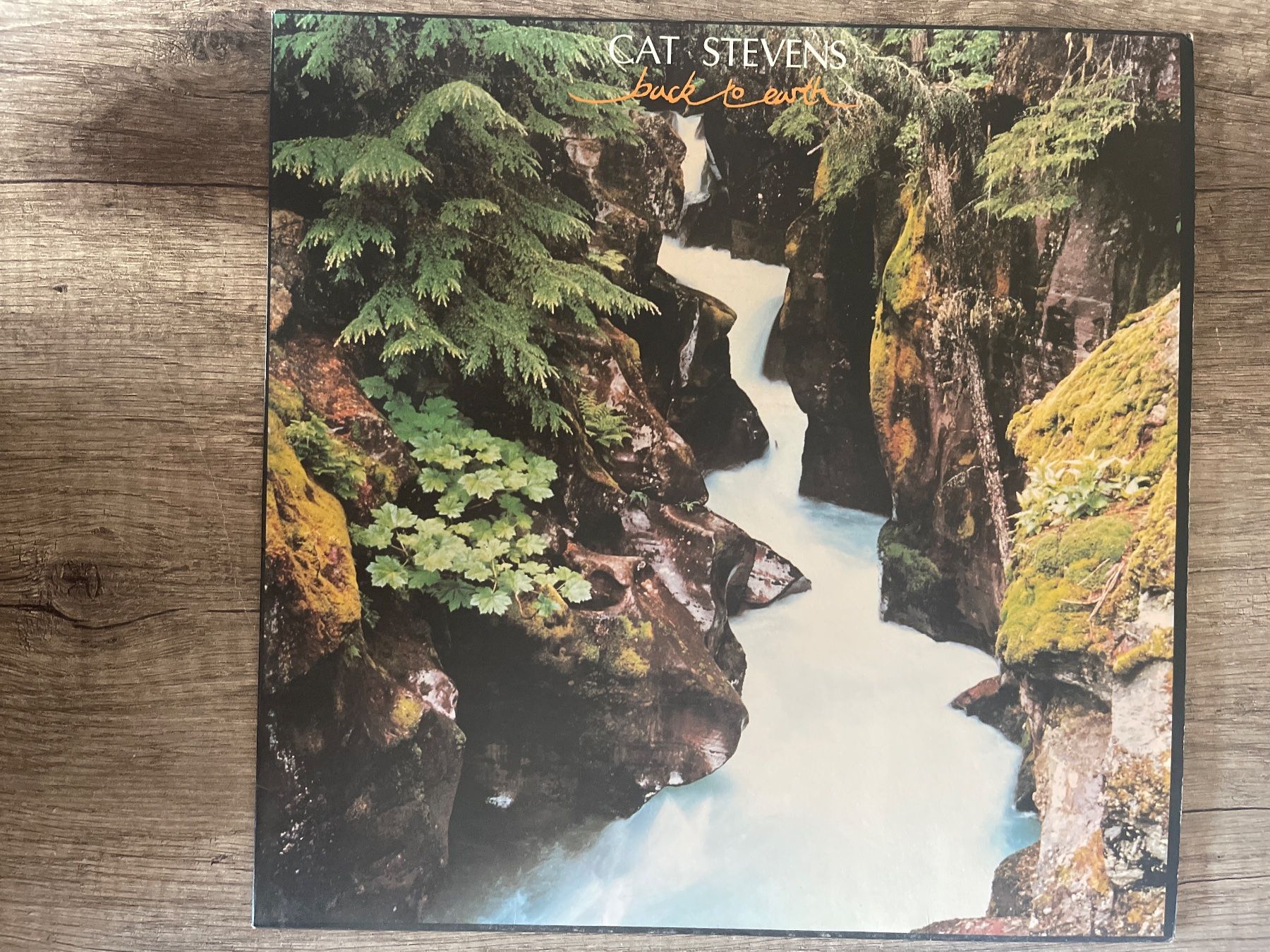Dischi in vinile: A294/Cat Stevens - Back to Earth – Usato da Frutigen venduto da Philippe_jsp