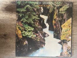 A294/Cat Stevens - Back to Earth