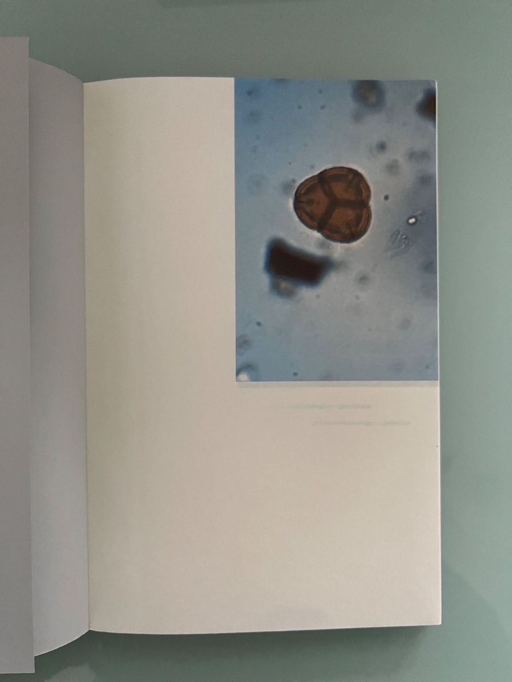 Libri: Marc Johnson: Lacune féconde – Usato da Renens VD venduto da ale_q6bz 1