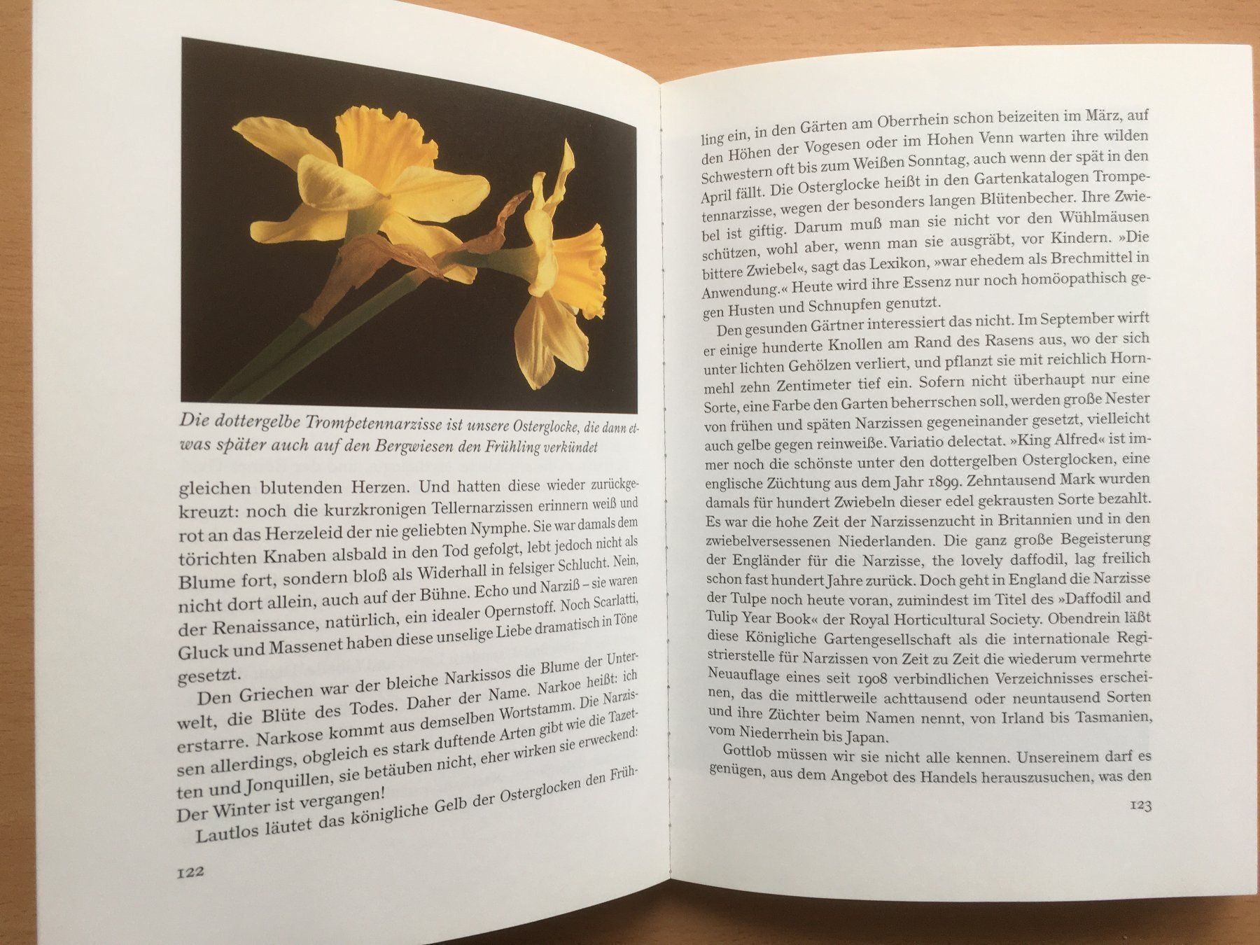 Bücher: Gartenlust - Johannes Roth – Gebraucht aus Grenchen von Kogi7 8