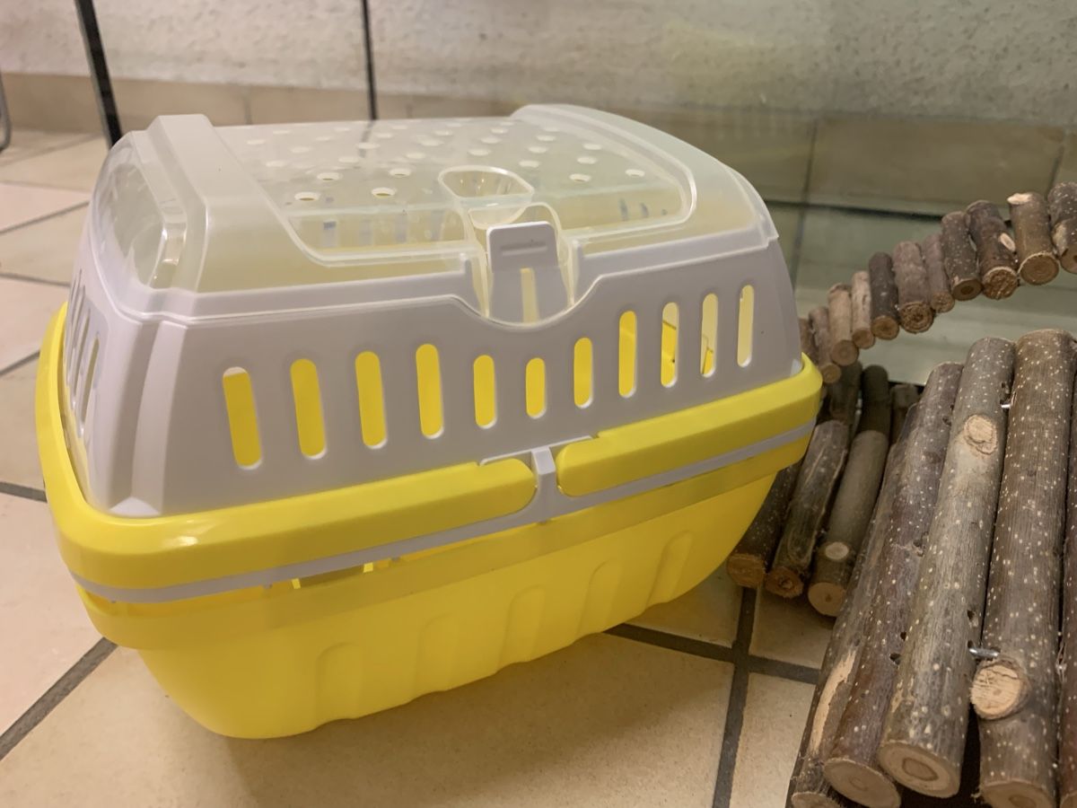 Gabbie, trasporto & Sicurezza: Cages pour hamster avec accessoires – Usato da Lausanne venduto da cloleman 1