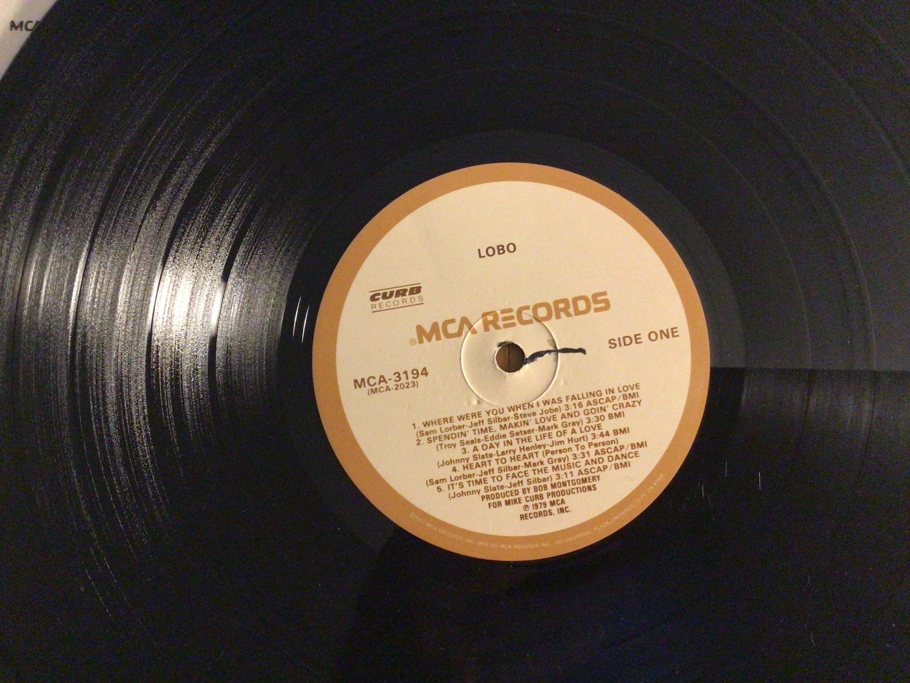 Dischi in vinile: LOBO, LP, 1979 – Usato da Steinach venduto da Quarkie 2