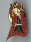 Plaketten & Abzeichen: Berufsfeuerwehr Basel, Pin – Gebraucht aus Zürich von t24_de