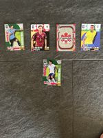 Panini WM 2026 Karten Set 