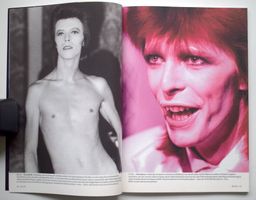TOP David Bowie DU 741 2003 Beruf: Popstar