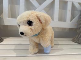 Little Live Pets Ouchies Deluxe Retriever Cooper Interaktiv