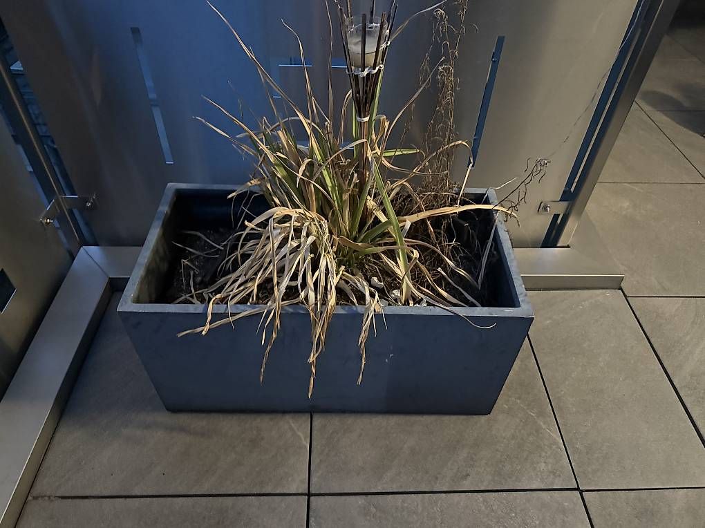 Pots de fleurs: 3x Blumentröge Gratis Abzugeben – D'occasion à Therwil par ala_w5y6 2