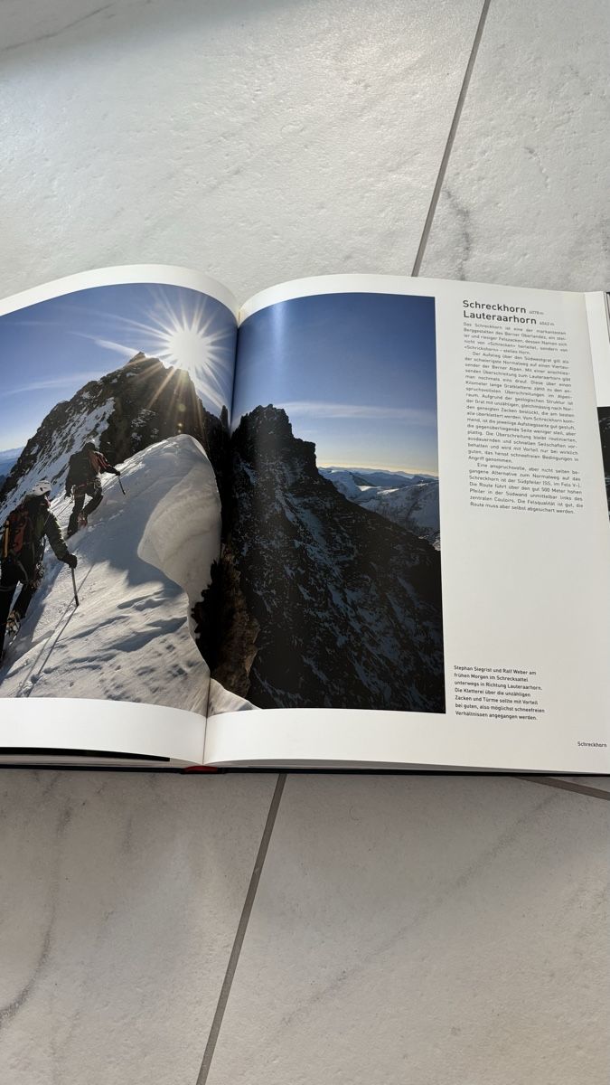 Libri: Buch Schweiz Alpin Robert Bösch – Usato da Seengen venduto da sa_land 6