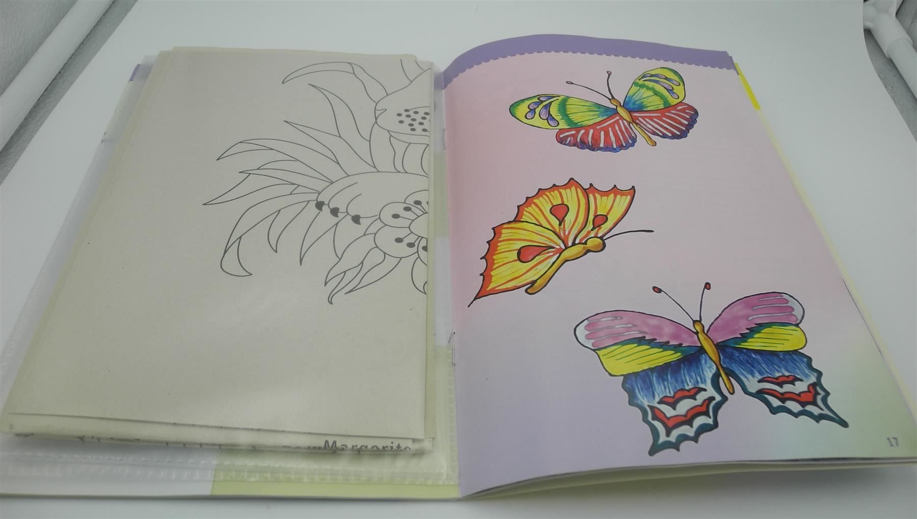 Kit bricolage: 3 Bastelbücher Window Color, Nr. 16a – Usato da Kottwil venduto da Crazyrolf 1