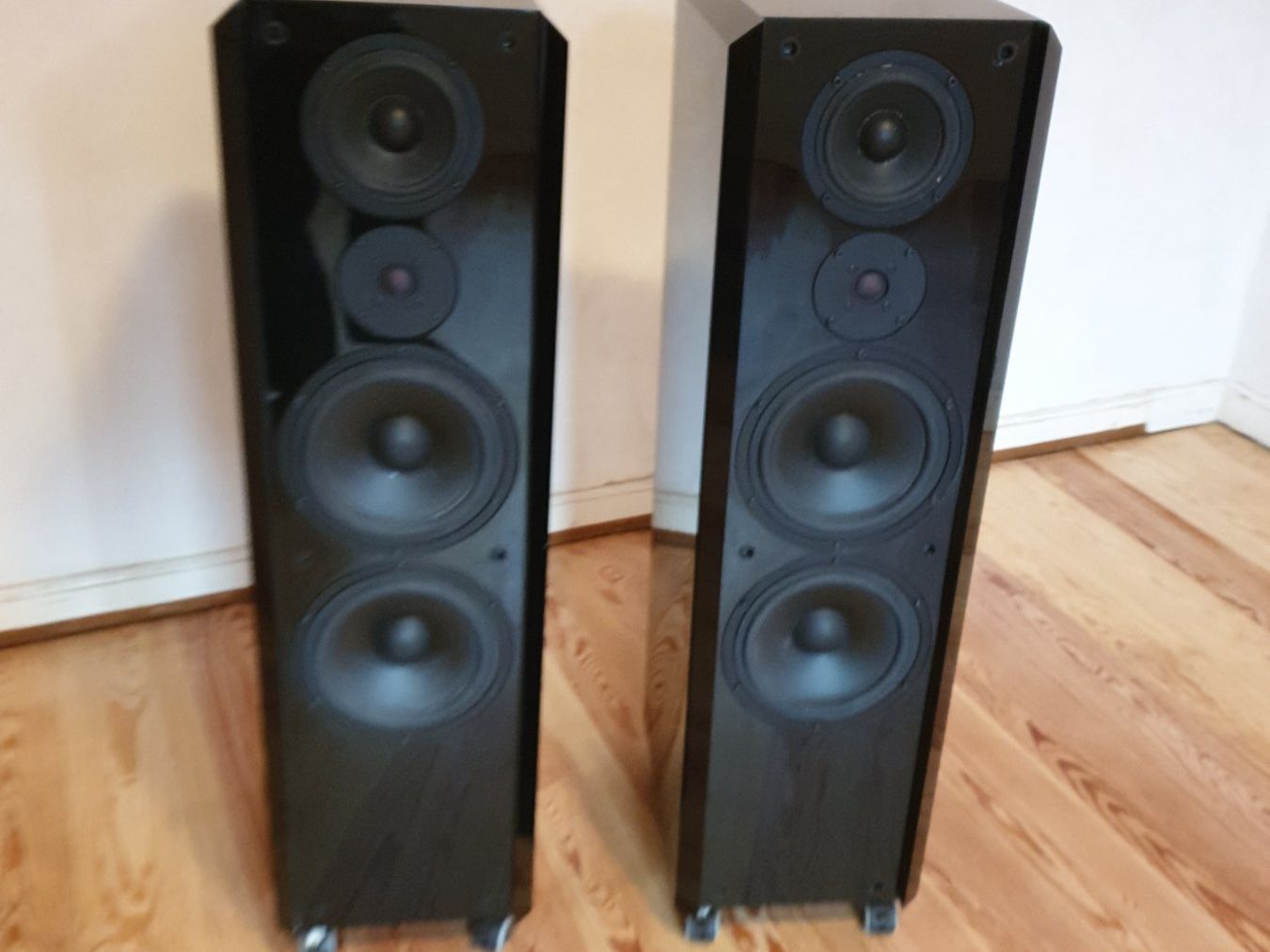 ACR Casse acustiche: Isostatic ACR RP152 – Usato da Thun venduto da Chruemelchen 4