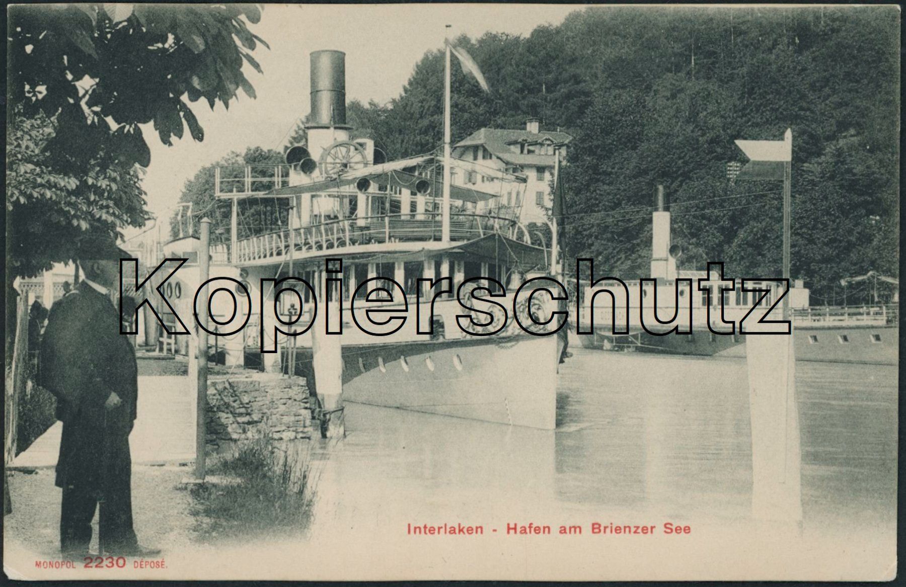 Cartoline postali: BE Interlaken - Schiff - Brienzersee – Nuovo (secondo la descrizione) da Schindellegi venduto da masutka7
