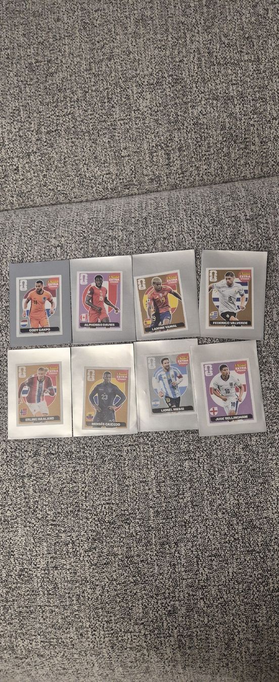 Panini Carte collezionabili: Extra Sticker Panini Top Zustand – Nuovo (secondo la descrizione) da Wetzikon ZH venduto da ifo02