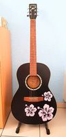 Canadische Folk/Western Gitarre