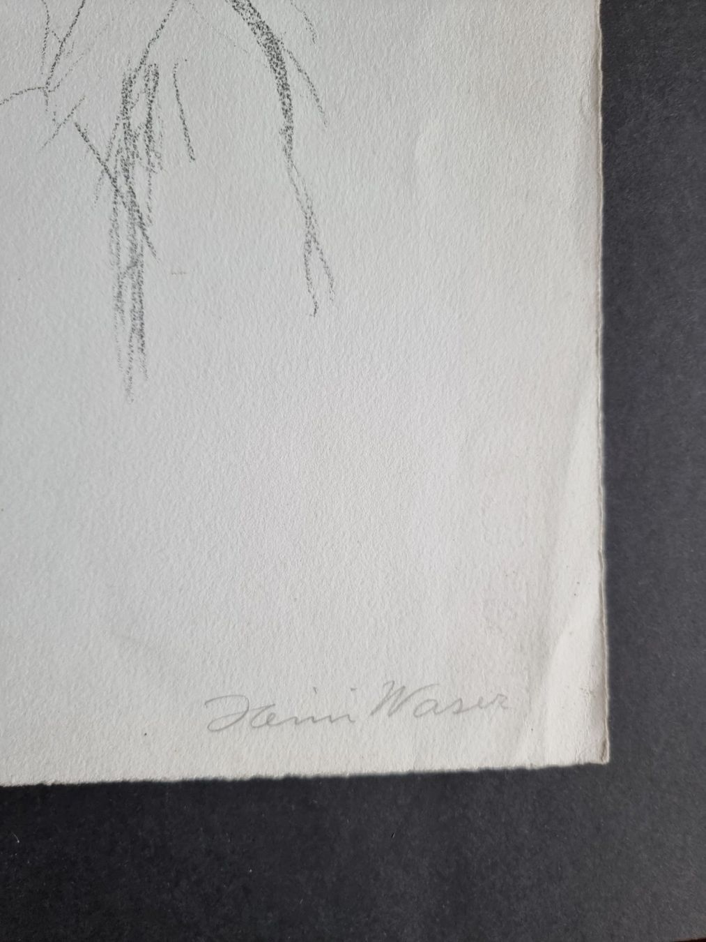 Grafica & Litografie: HEINI WASER LITHOGRAPHIE SIGNIERT NUMMERIERT – Usato da Gersau venduto da kunst-online 1