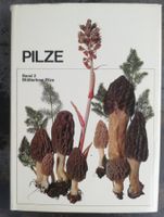 Pilze 2