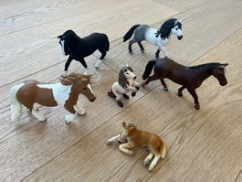 Schleich Pferde-Set  6 teilig - neuwertig
