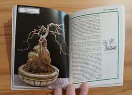 Livre "Les Bonsaï" Gérard Leprêtre - Rustica Dargaud📚🌳💚