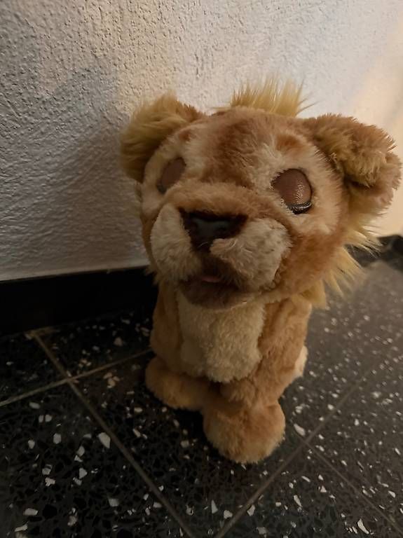 Spielzeuge: Fur Real Löwe und Bär – Gebraucht aus Ittigen von 77miri 4