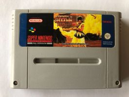 Samurai Showdown für Nintendo SNES