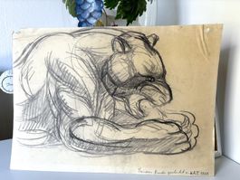 Löwe Zeichnung  sig. Henrich Alther 1938 mit Bleischtift