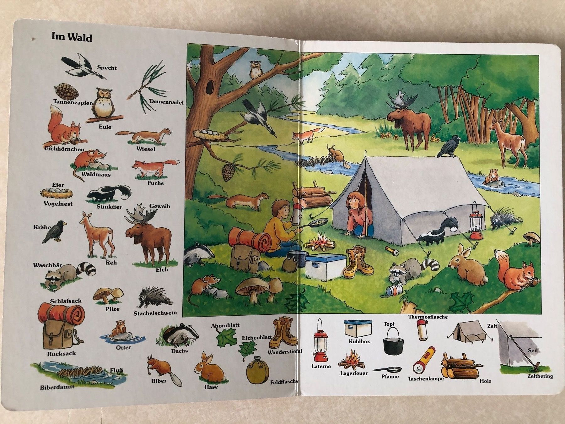 Bücher: Kinder Lexikon - Spielerisch Lernen! – Gebraucht aus Balzers von Bastlerherz 4