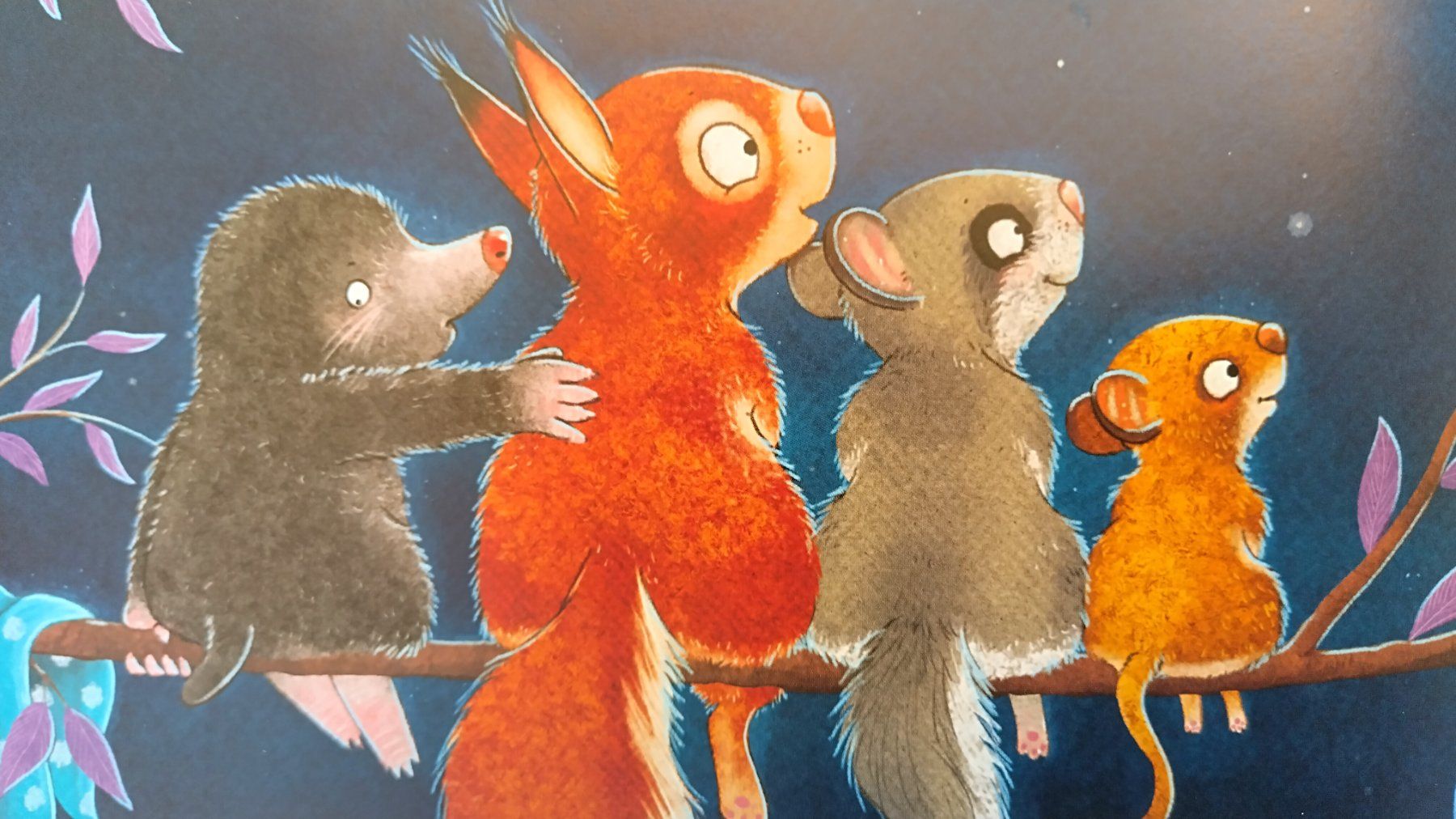 Libri: Die Geschichte vom kleinen Siebenschläfer der dem Mond.... – Usato da Bellach venduto da JingleJerry 8