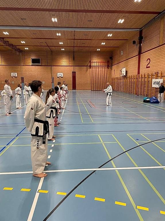 Kimono: TAEKWON-DO – Usato da Bern venduto da swi_7bq8 3
