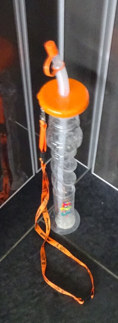 Borracce & Thermos: PET-Flasche mit Strohhalm "orange" - Gardaland – Usato da Wagenhausen venduto da Svema