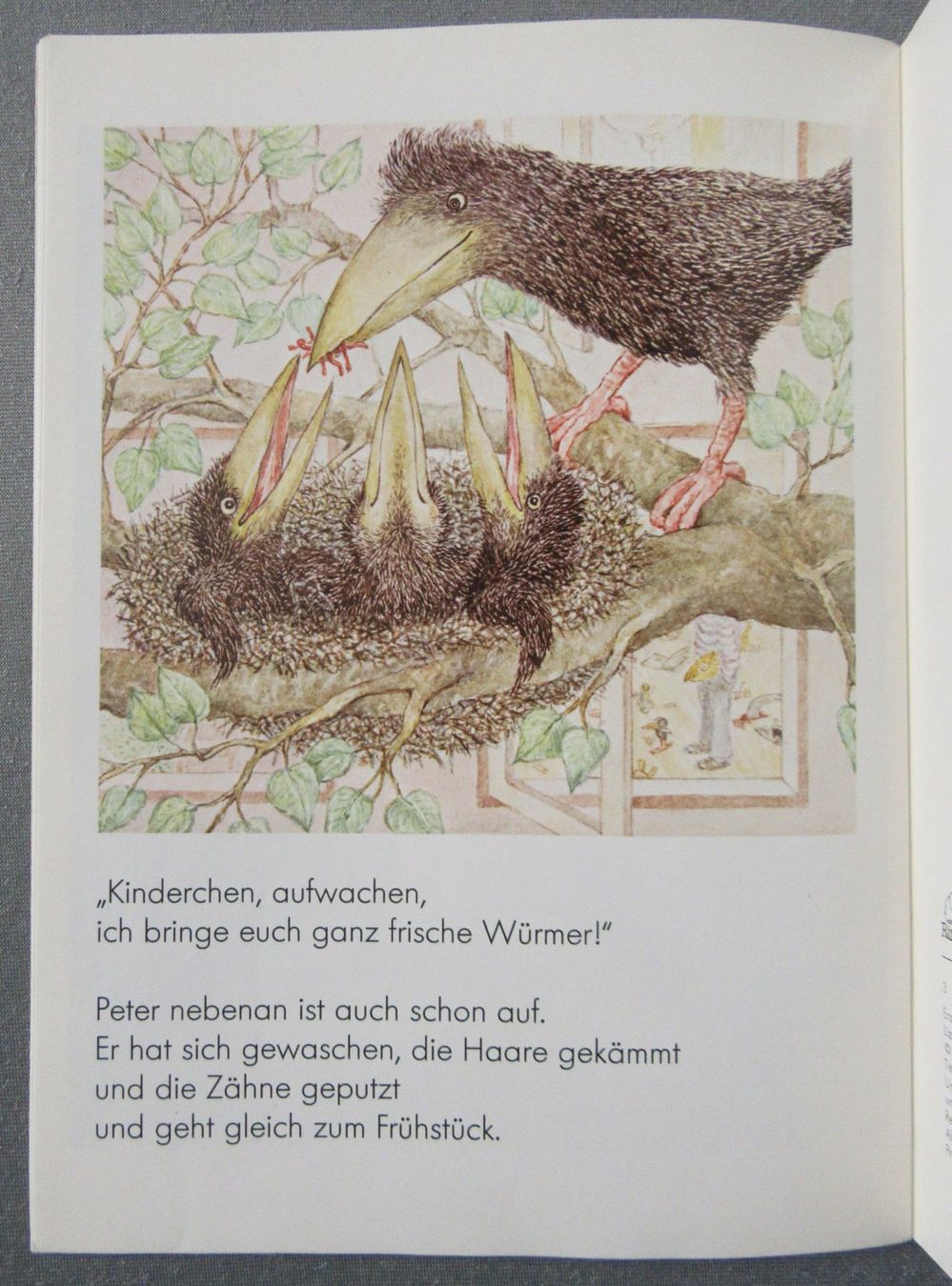 Bücher: Eine Rabengeschichte - von Dieter Schubert - Bilderheft – Gebraucht aus Auenstein von Padabimbim 7