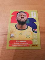 Panini WM 2026 RSA 16