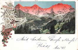 Berner Oberland mit Edelweiss und Alpenrosen 1898
