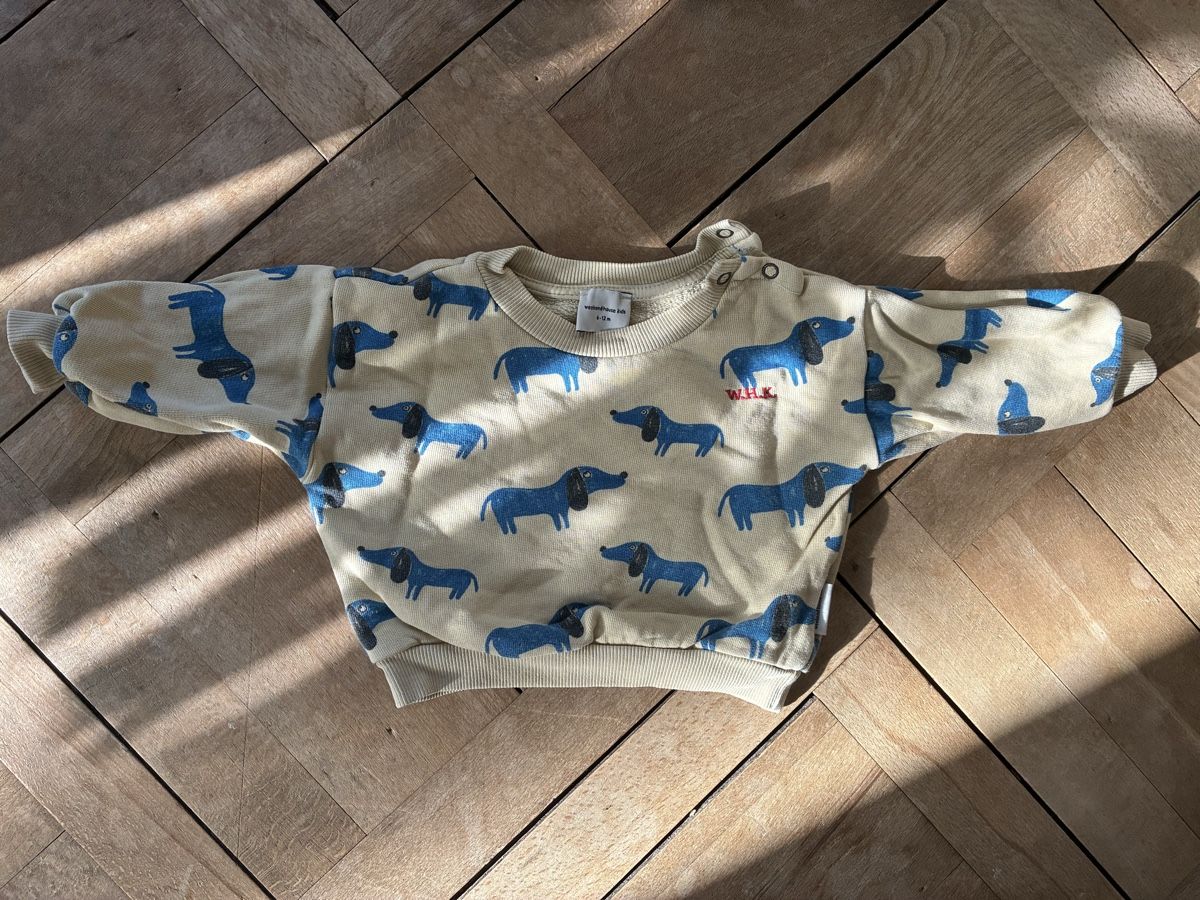 Pulls et sweat-shirts: Weekend home kids Pullover 6-12 Monate – D'occasion à Zürich par luxurylookbook