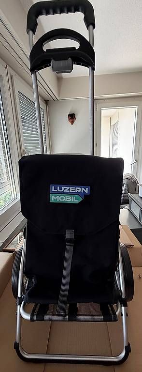 Sonstiges für Haushalt & Wohnen: Einkaufswagen aus Schweizer Manufaktur – Gebraucht aus Emmenbrücke von thb_mz5g