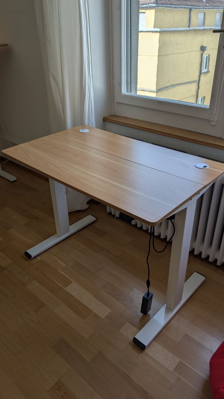 Schreibtische: Standing Desk – Gebraucht aus Zürich von ale_wd5h 2