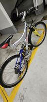 Mountain bike Swift X-Drive ammortizzata, usata bene